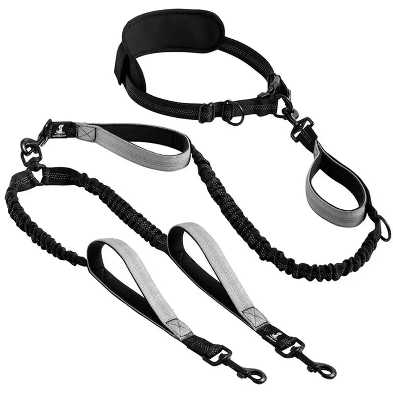 Reflective Comfort Leash Duo Pro