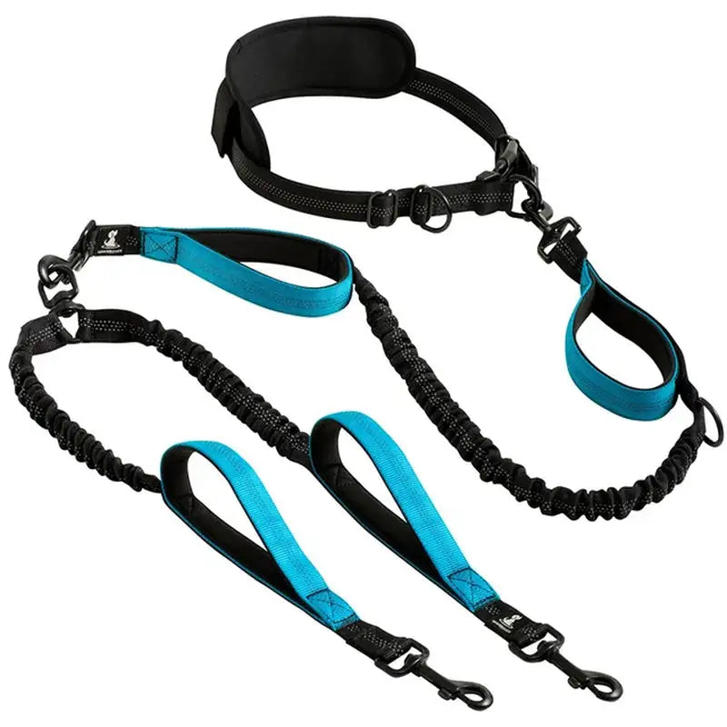 Reflective Comfort Leash Duo Pro